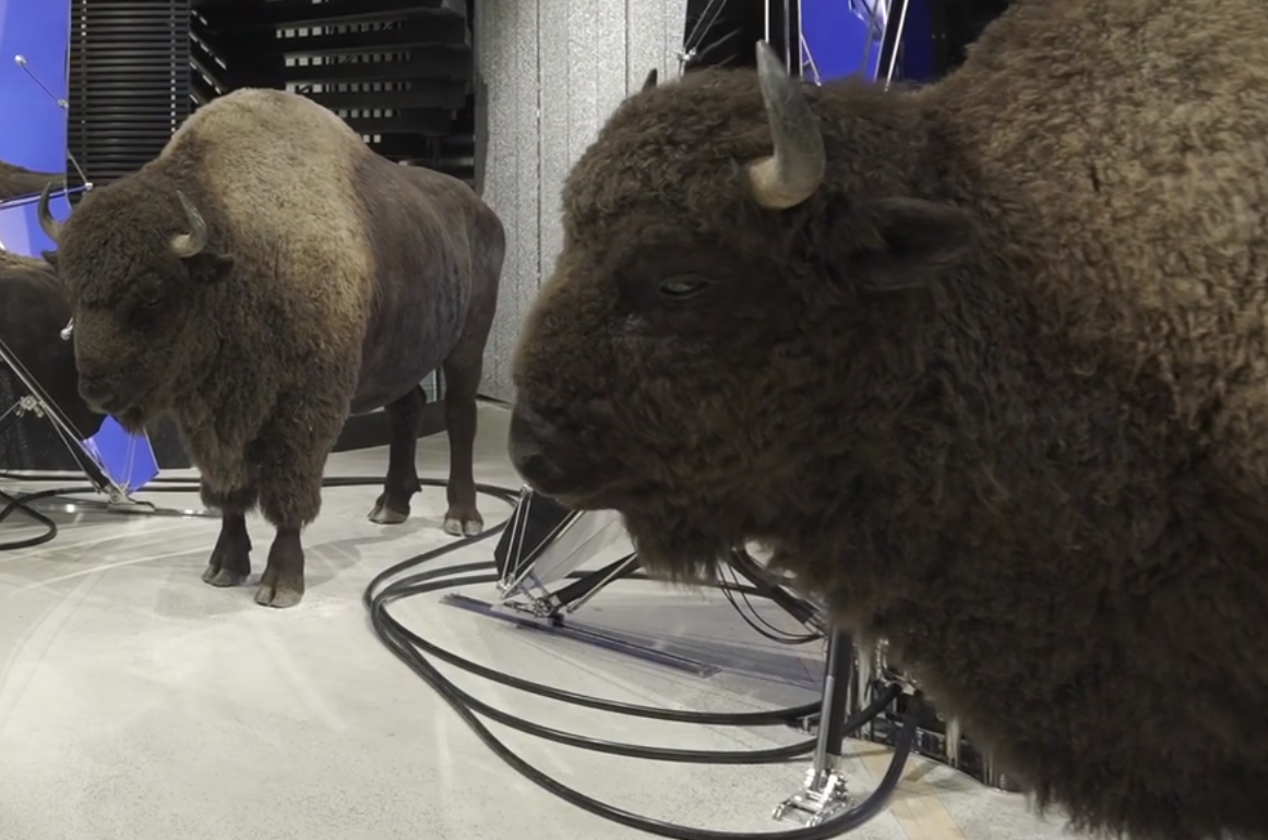 gentle太古里裝置藝術