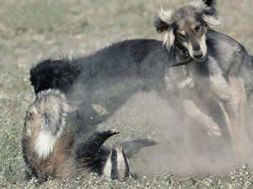 點擊瀏覽下一頁