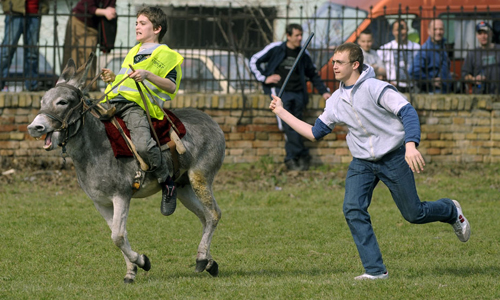 點(diǎn)擊瀏覽下一頁(yè)