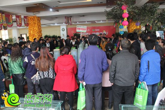 公關公司：2015年度年終盤點之戀家大事記